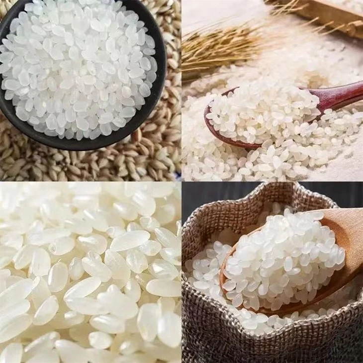 Artificial Extruded Rice Processing Line